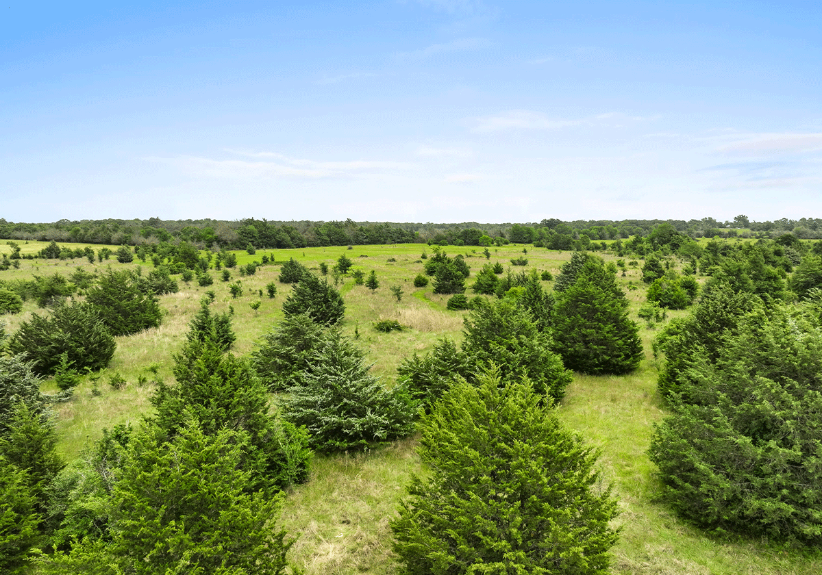 The Batson 35 | 35 Acres in Leon County, Texas | Oldham Goodwin Farm ...